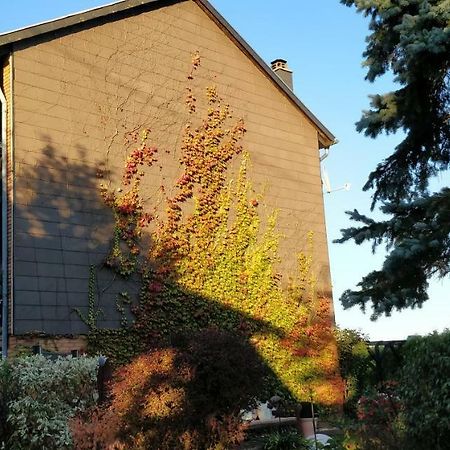 Ursula'S Ferienwohnung Marpingen ภายนอก รูปภาพ