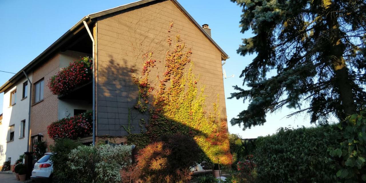 Ursula'S Ferienwohnung Marpingen ภายนอก รูปภาพ